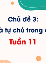 Chủ đề 3 An toàn và tự chủ trong cuộc sốngTuần 11